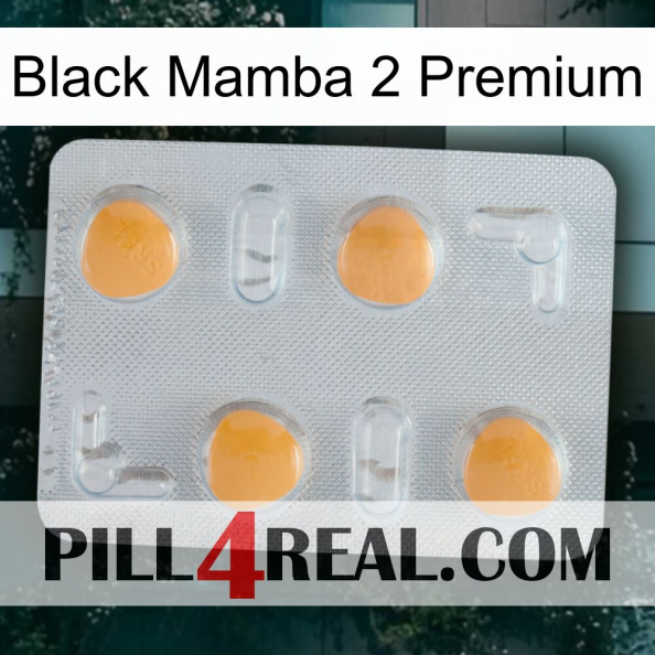 Black Mamba 2 Premium 24.jpg